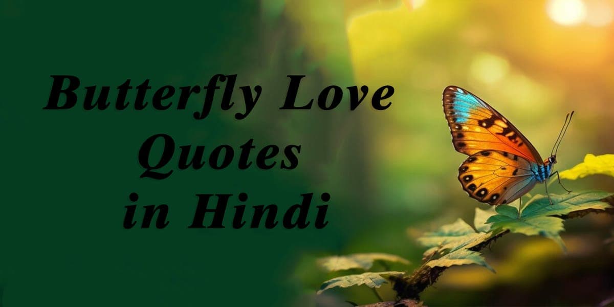 Butterfly Love Quotes in Hindi, Butterfly Status in Hindi