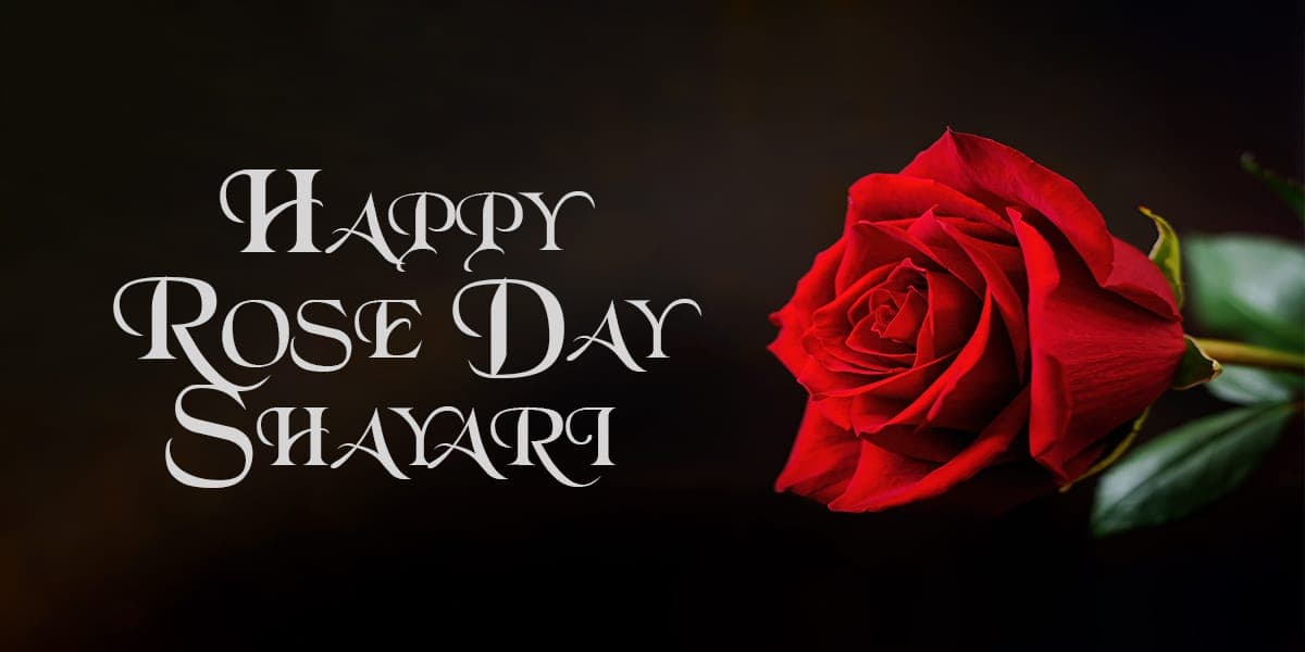 100+ Happy Rose Day Shayari