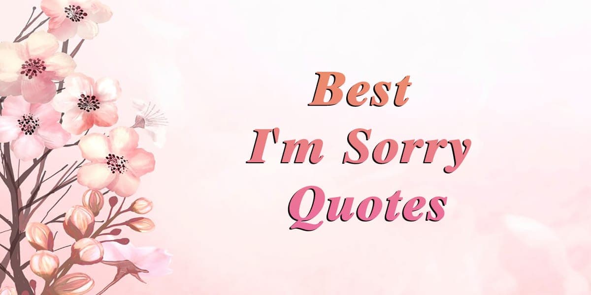 20+ Best I'm Sorry Quotes