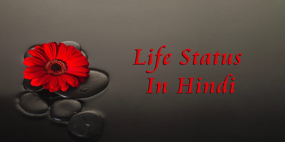 110+ Life Status In Hindi, Sad Life Status