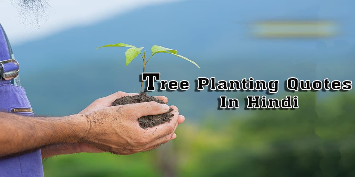 50+ Tree Planting Quotes In Hindi