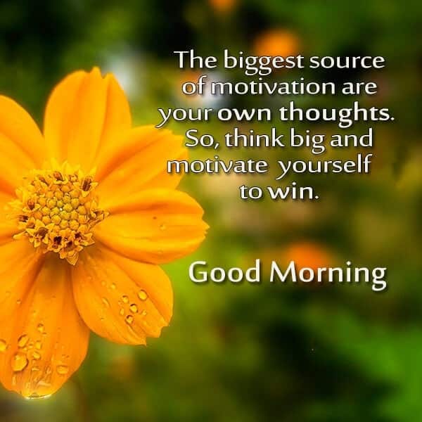 Top 50 Good Morning Thought, Quotes, Images,Good Morning Wishes