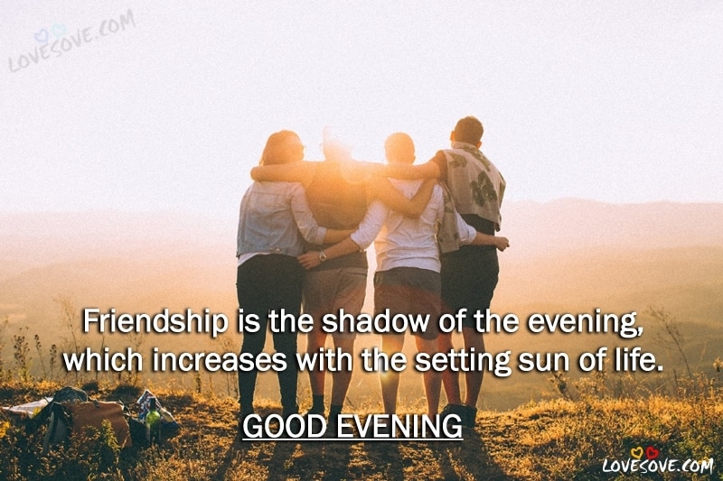 Friendship Is The Shadow - Good Evening Quotes, Friendship Quotes, Good Evening wishes images for facebook, Good Evening quotes for whatsapp