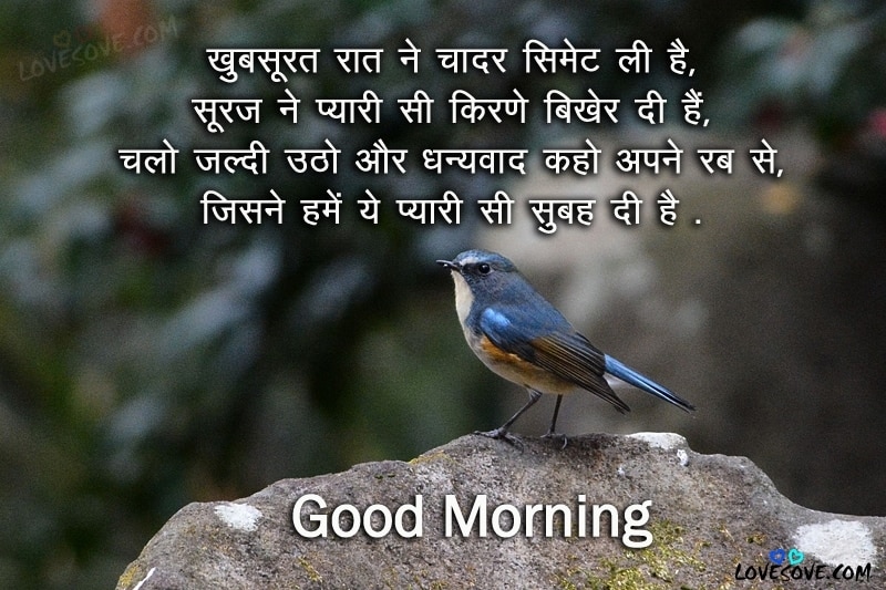 Best 110 Hindi Good Morning Shayari, Good Morning Images, Good Morning Wishes, Shayari For Facebook, Good Morning Shayari For WhatsApp