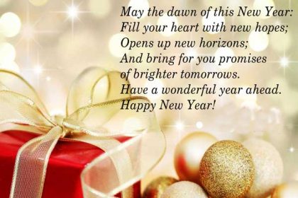 Happy New Year Wishes Quotes Images In English – LoveSove.com