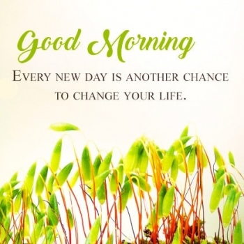 Beautiful Good Morning Status Dp, Inspirational Good Morning Quotes