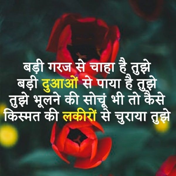 cute shayari for facebook, cute shayari for wife in hindi