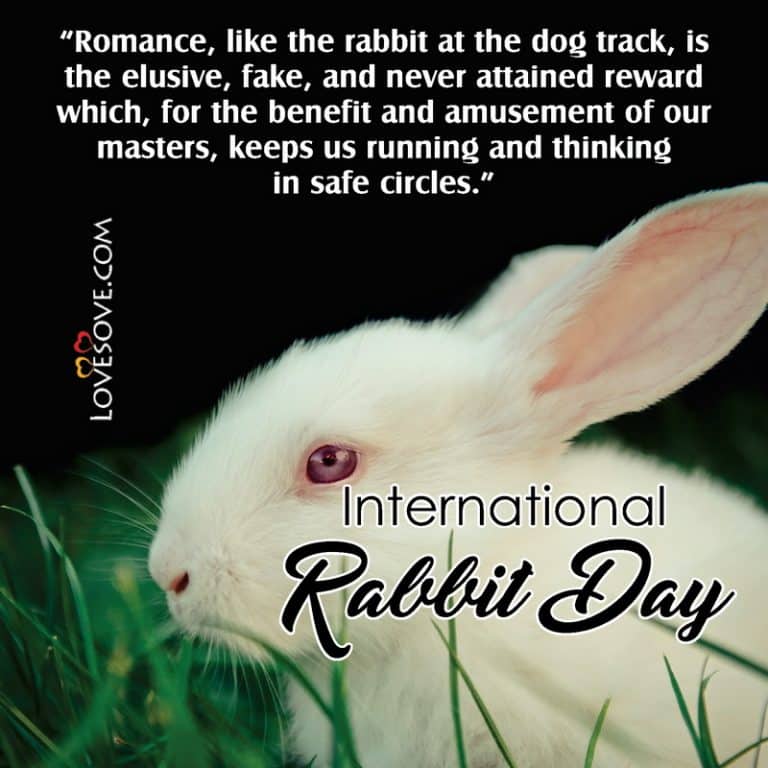 National Rabbit Day 2024 Wishes Kanya Maritsa