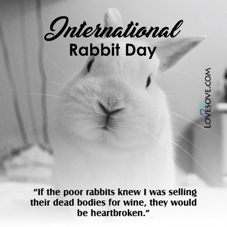 International Rabbit Day Status Quotes Wishes Messages And Pictures