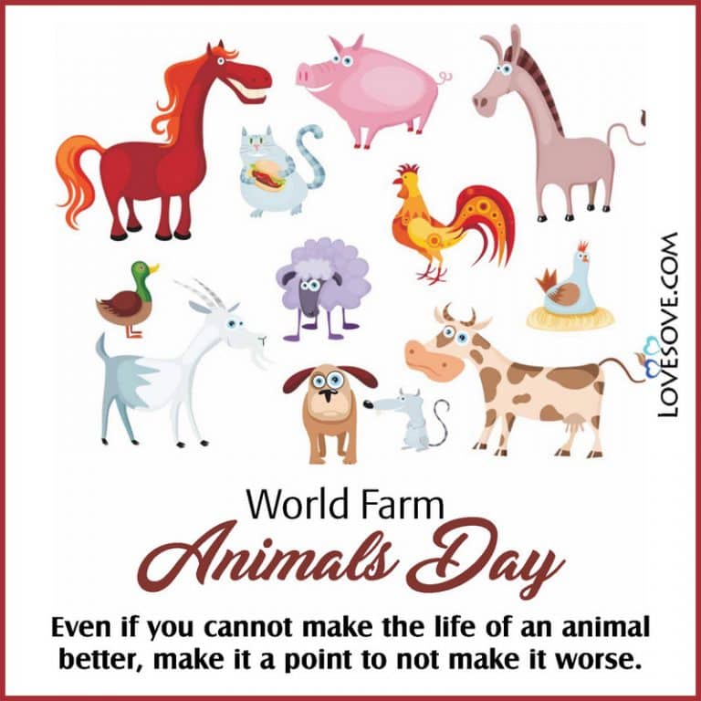 World Farm Animals Day Quotes, Status, Messages, Wishes & Theme