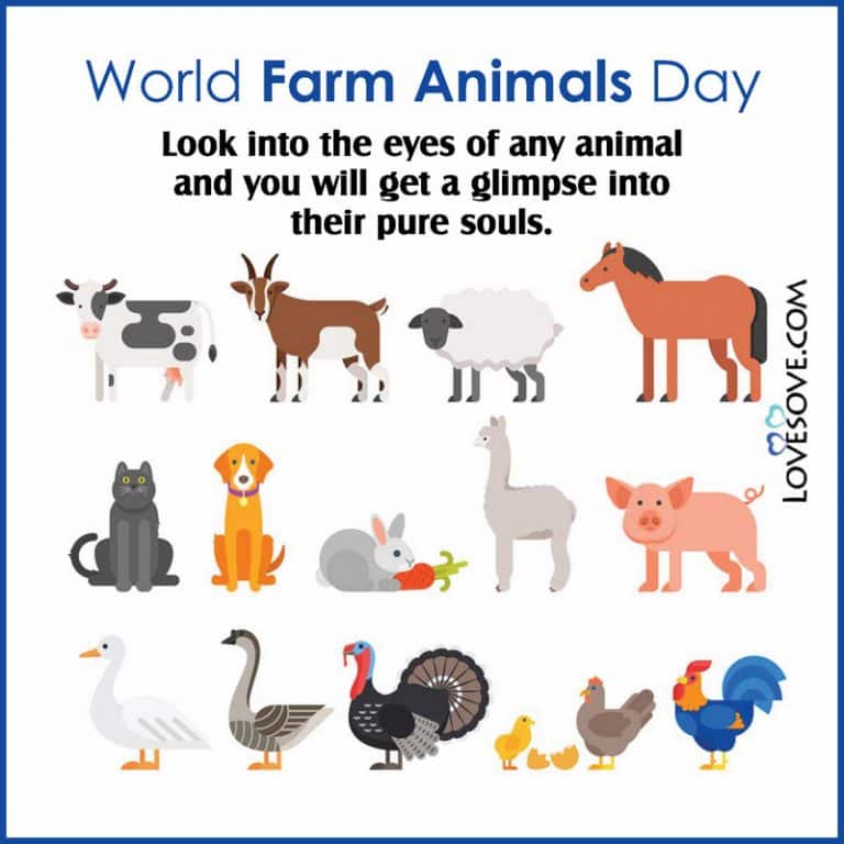 World Farm Animals Day Quotes, Status, Messages, Wishes & Theme