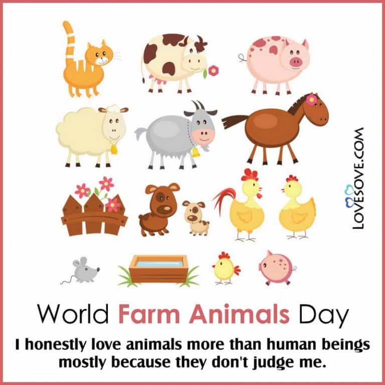 World Farm Animals Day Quotes Status Messages Wishes And Theme