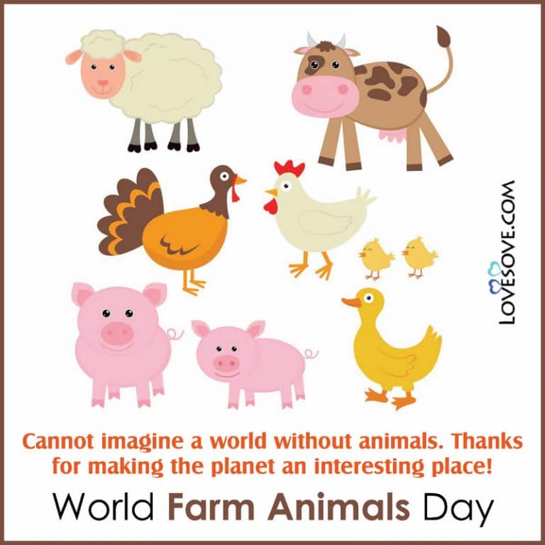 World Farm Animals Day Quotes, Status, Messages, Wishes & Theme