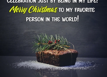 merry christmas wishes, greetings, images, happy xmas quotes images, merry christmas wishes greetings images, christmas day quotes for card lovesove