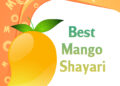 best mango shayari, mango quotes in hindi