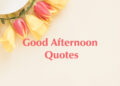 good afternoon quotes, happy good afternoon quotes