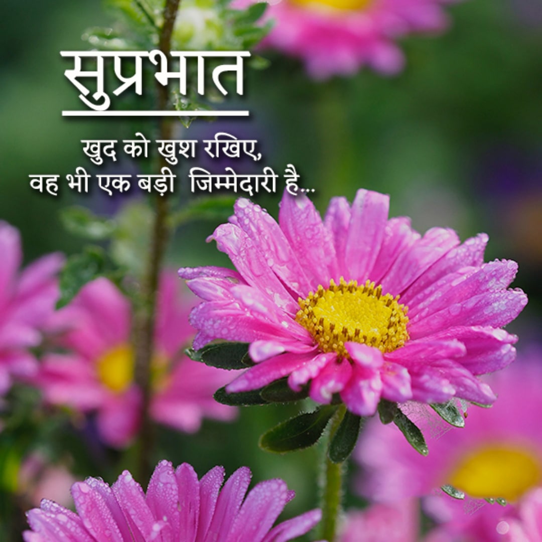Full 4K Collection of Amazing Suprabhat Images in Hindi: Over 999+