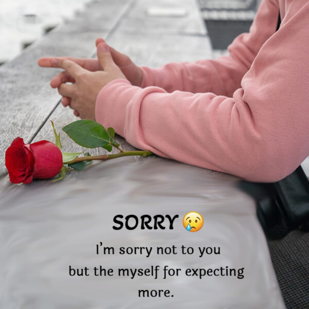 sorry quotes for best friend