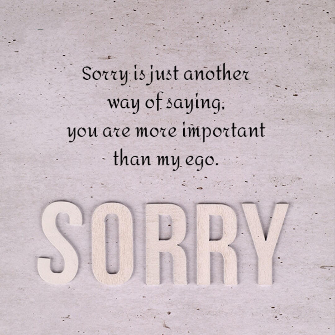 sorry friend quotes sayings